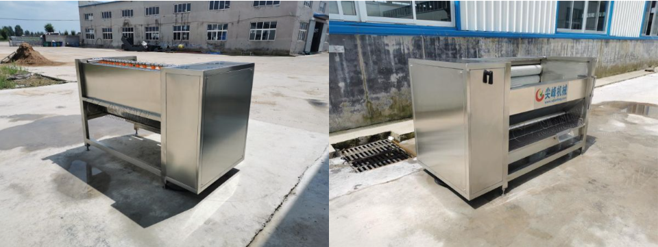 球根莖類去皮洗濯機器裝備